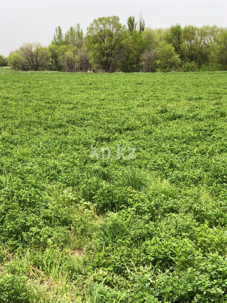 Продажа земельного участка, 635 сот., Байтерек п. в Алматинской области - фото 3