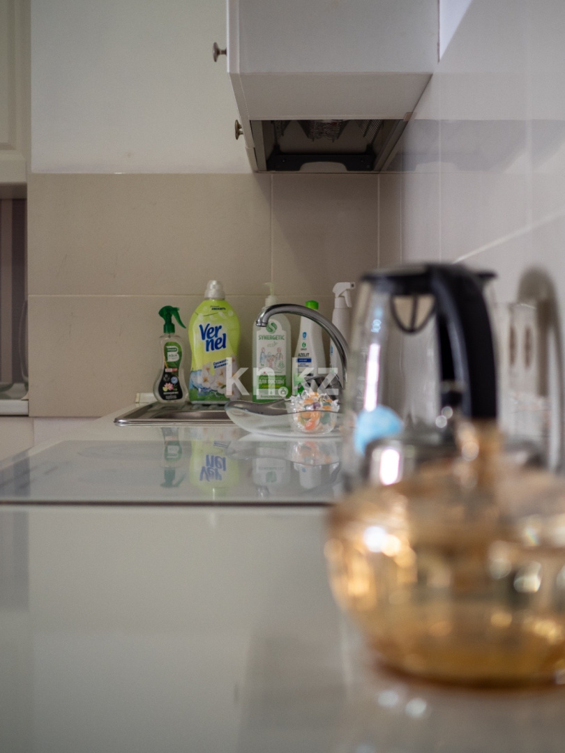 Аренда 1-комнатной квартиры посуточно, 42 м², ул. Навои, дом  208 - ул. Торайгырова в Алматы - фото 18