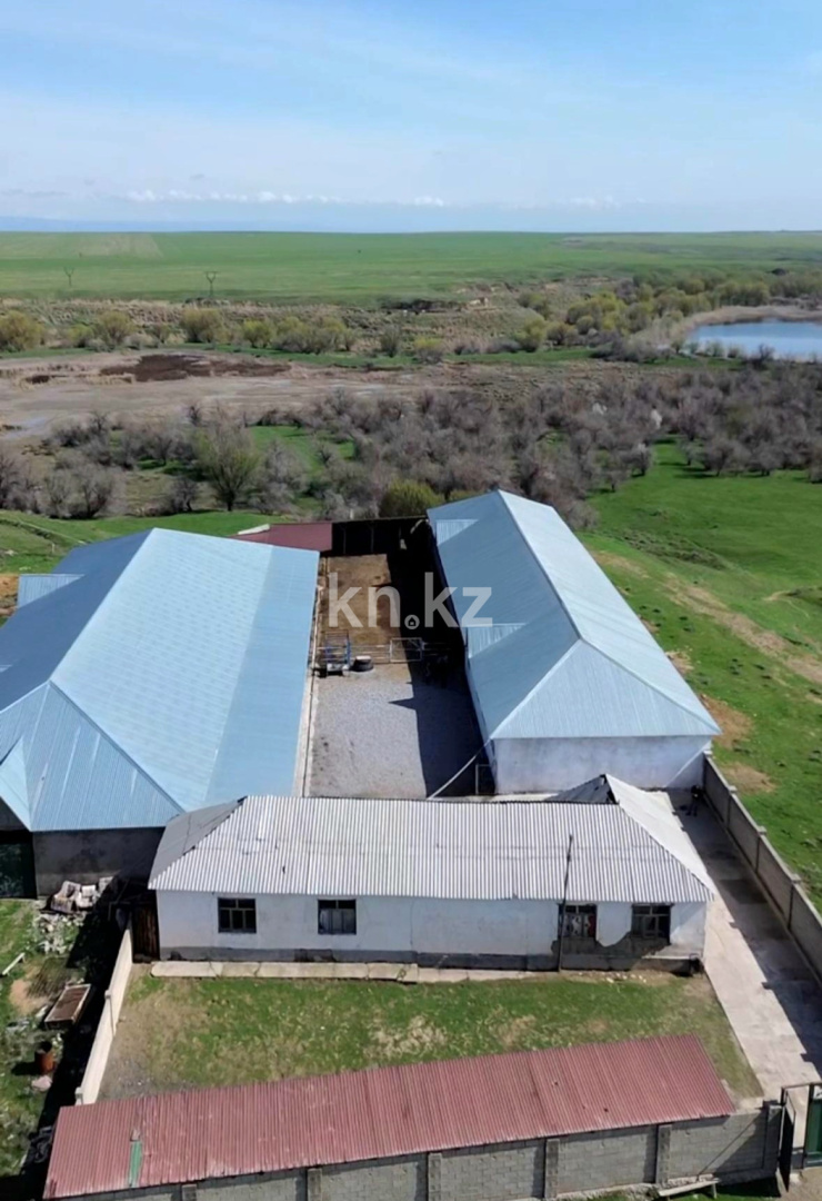 Продажа , 800 м², Касымбек Датка с., дом  111 в Шымкенте - фото 6