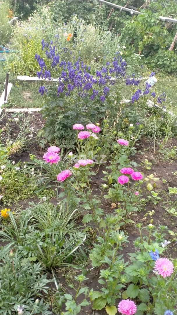 Продажа дачи, 12 сот., Елочка в Караганде - фото 33