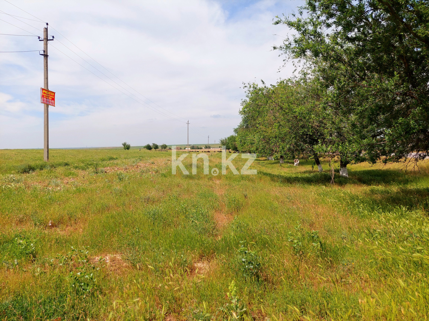 Продажа земельного участка, 3 га, Шубарсу в Шымкенте - фото 17