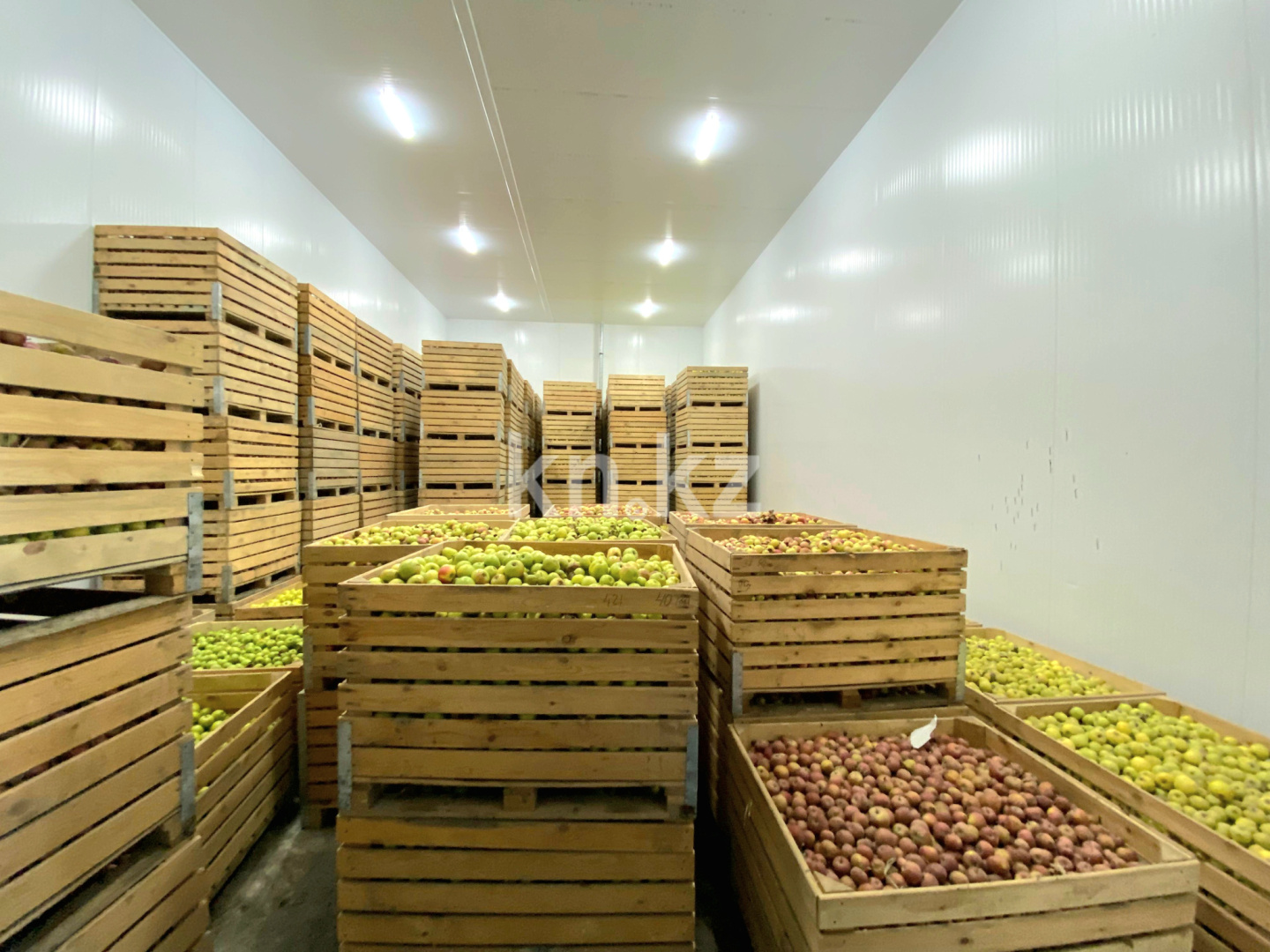 Продажа , 2700 м², Акбулак п., дом  1111 в Шымкенте - фото 34