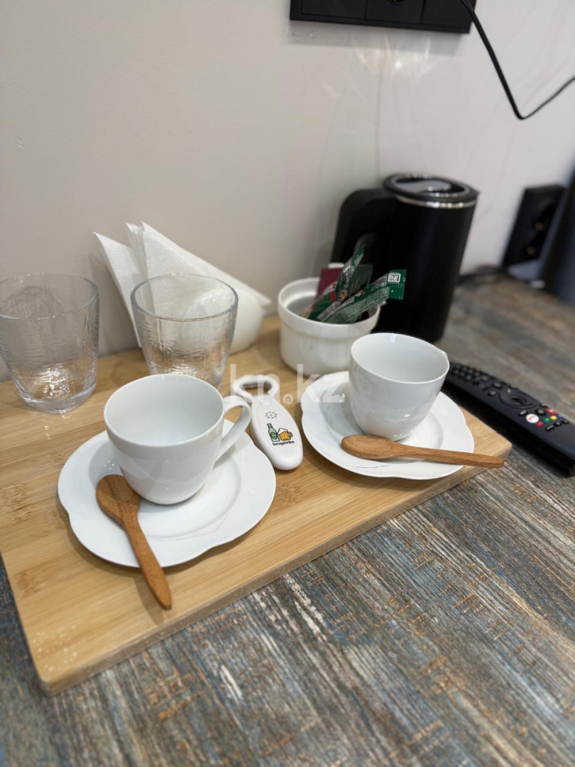 Аренда 1-комнатной квартиры посуточно, 25 м² в Алматы - фото 4