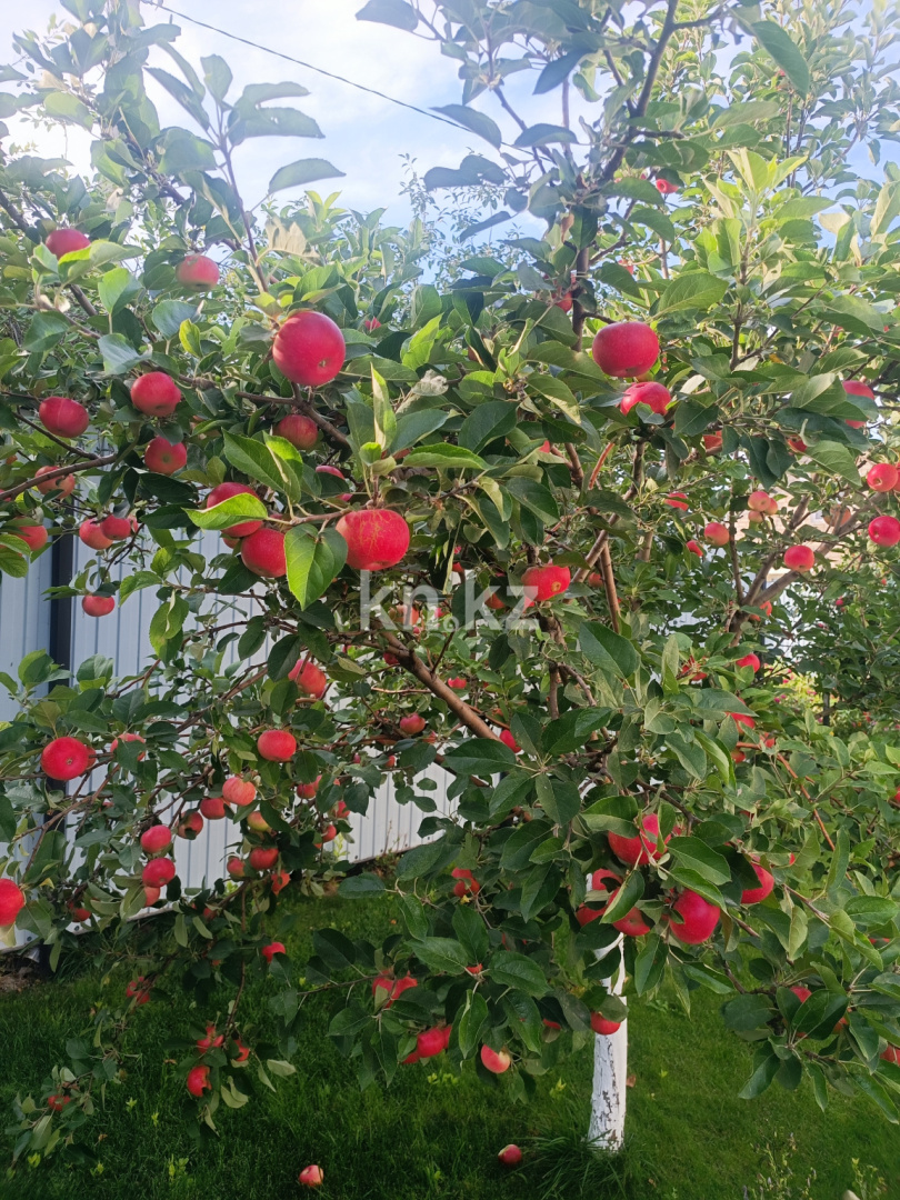 Продажа 5-комнатного дома, 260 м², Назерке, дом  24/1 в Уральске - фото 9