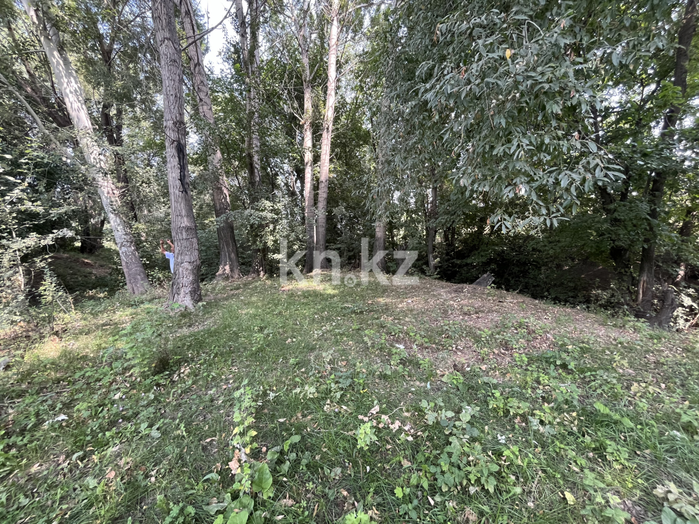 Продажа земельного участка, 22 сот., Маметова в Алматинской области - фото 11