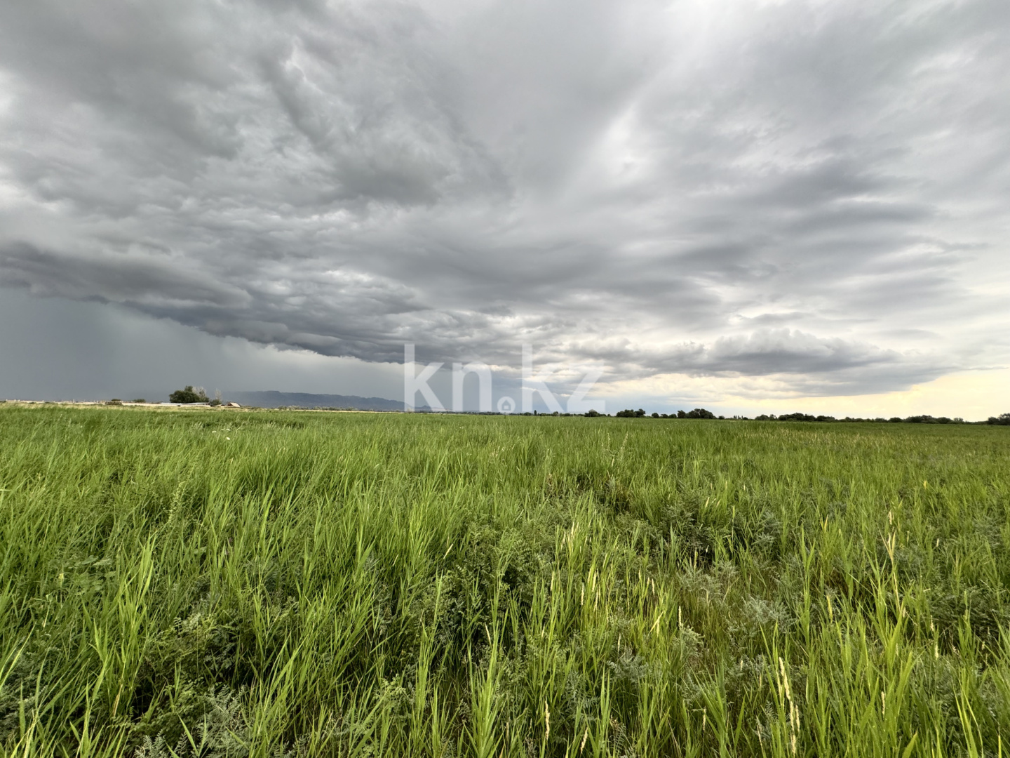 Продажа , 1100000 м², Коктал, дом  1 в Алматинской области