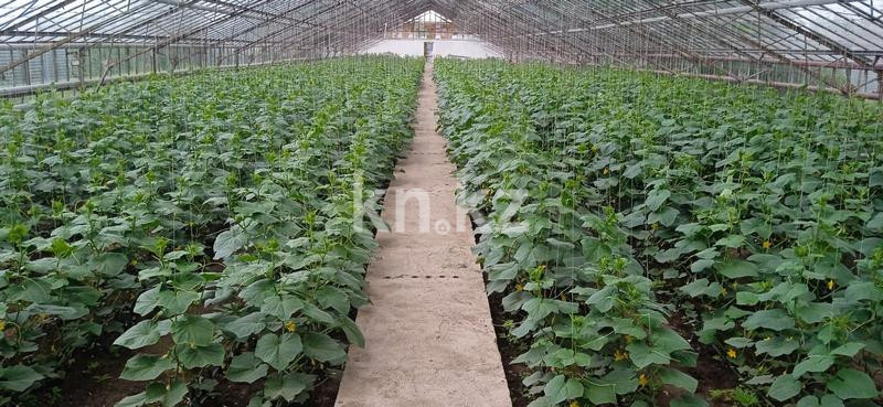 Продажа помещения, 10000 м² в Абае