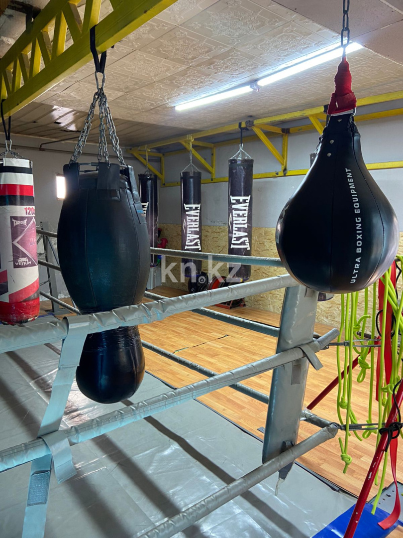 Продажа 6-комнатного дома, 284 м² в Алматы - фото 3