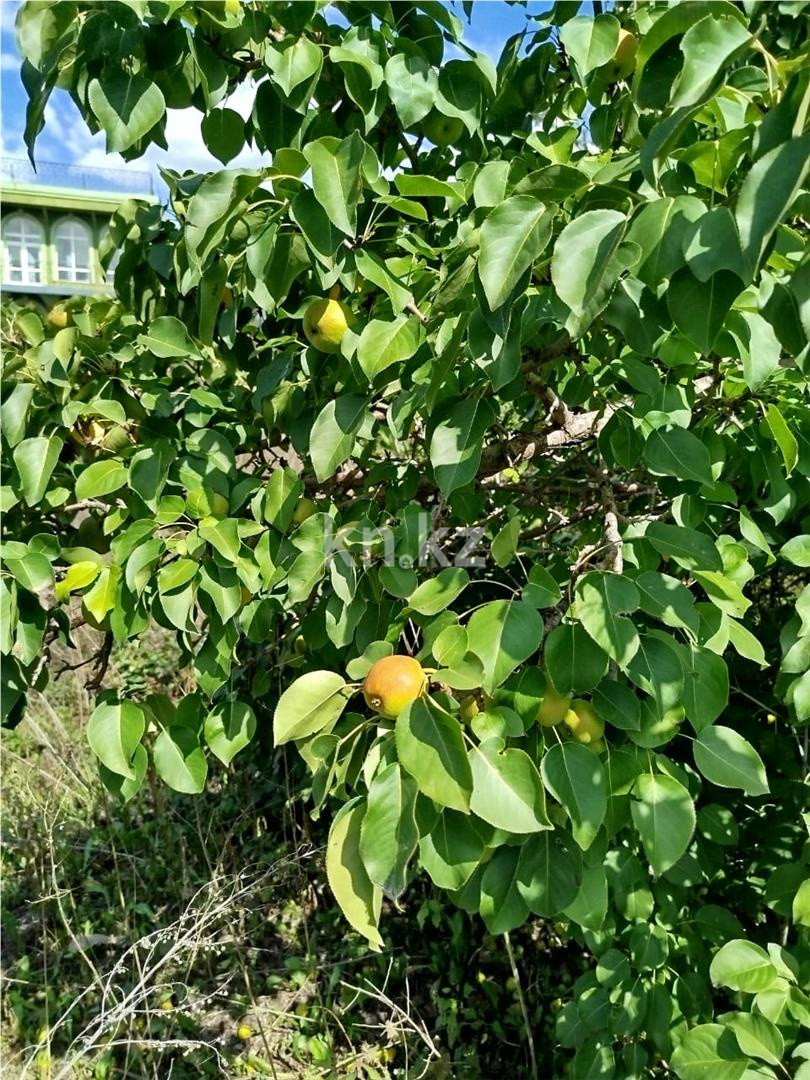 Продажа 10-комнатного дома, 904 м², Корниенко, дом  2 в Темиртау - фото 10