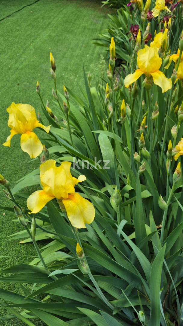 Продажа 4-комнатного дома, 200 м², ул. Омская в Алматы - фото 5