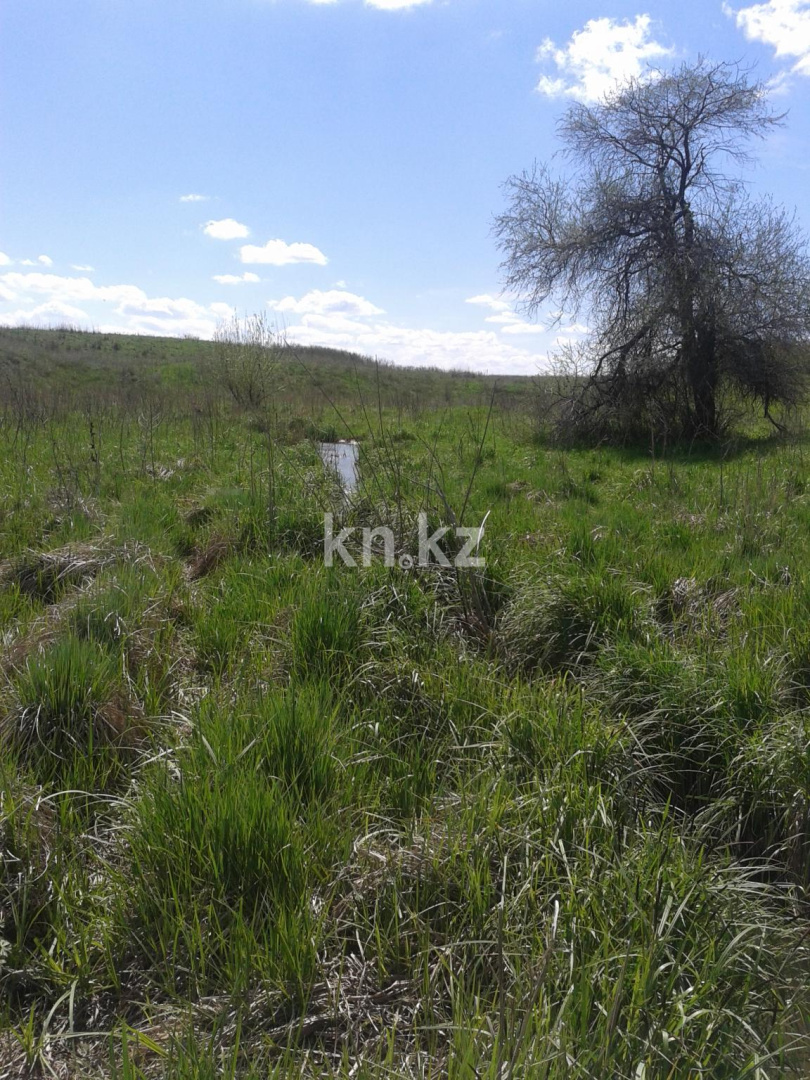 Продажа земельного участка, 10 га, Карой п. в Алматы - фото 4