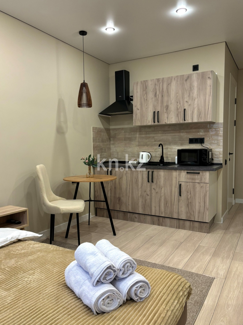 Аренда 1-комнатной квартиры посуточно, 27 м² в Алматинской области - фото 4