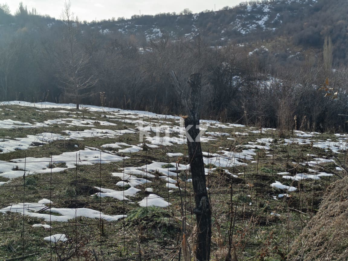 Продажа участка, 6000 м² в Алматы - фото 11