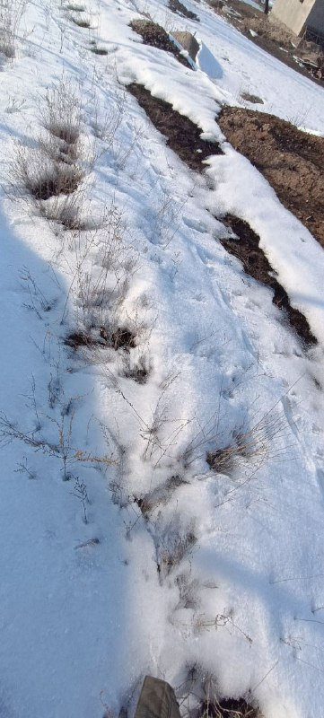 Продажа участка, 8 га в Алматинской области - фото 8