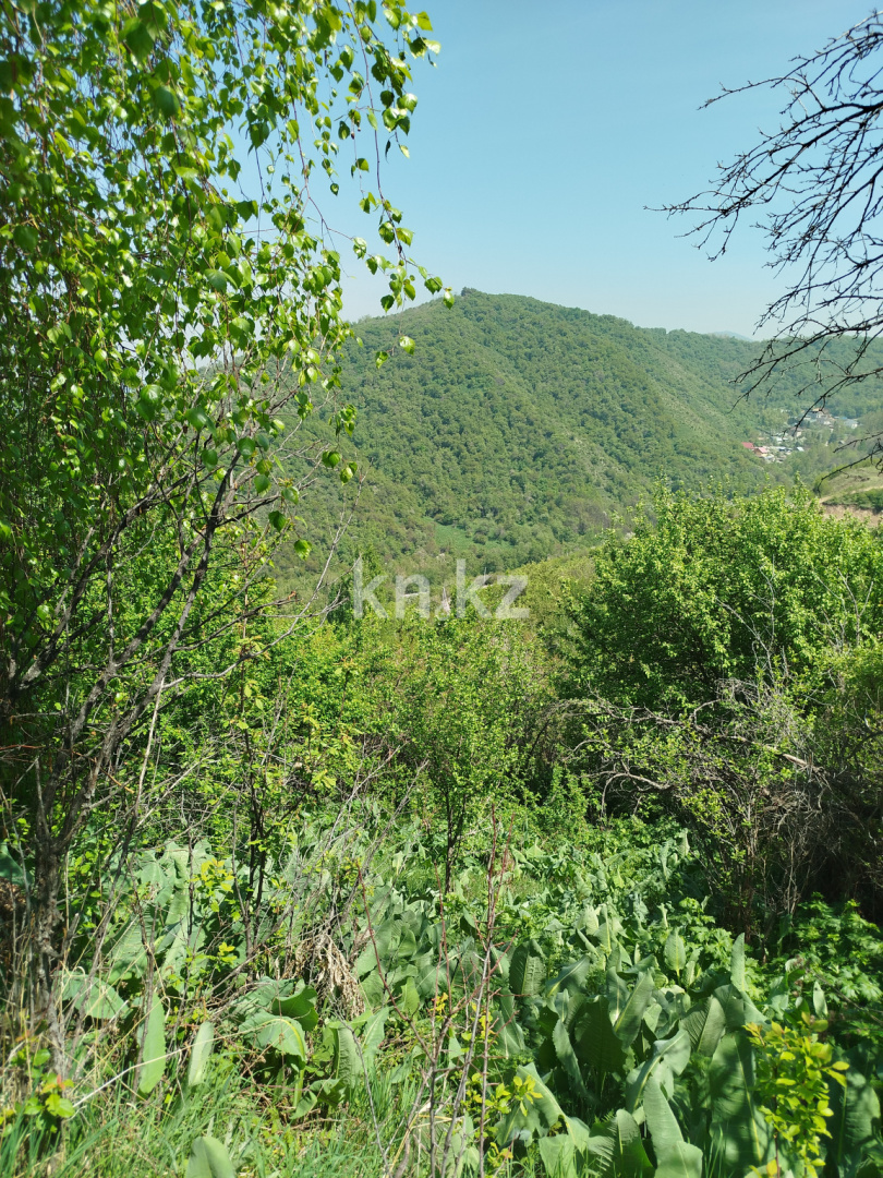 Продажа земельного участка, 37 сот., Каменское Плато в Алматы - фото 5