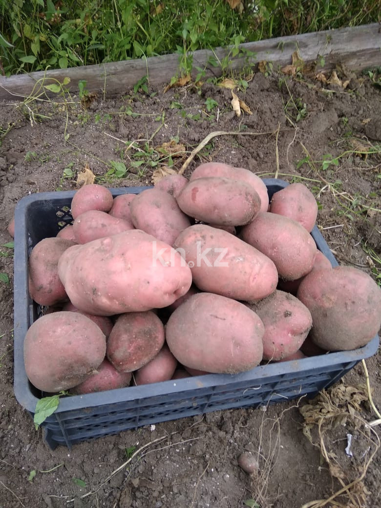 Продажа 3-комнатного дома, 80 м², Сейфуллина, дом  125 в Павлодаре - фото 8