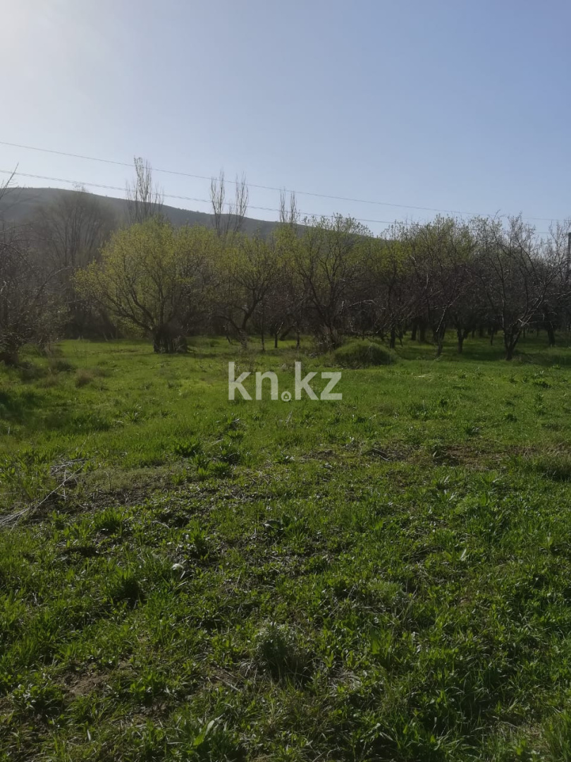 Продажа земельного участка, 50 сот., Азат п. в Алматинской области - фото 2