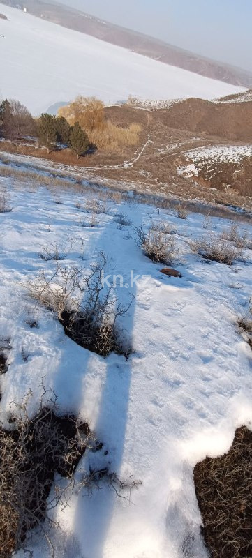 Продажа участка, 8 га в Алматинской области - фото 17