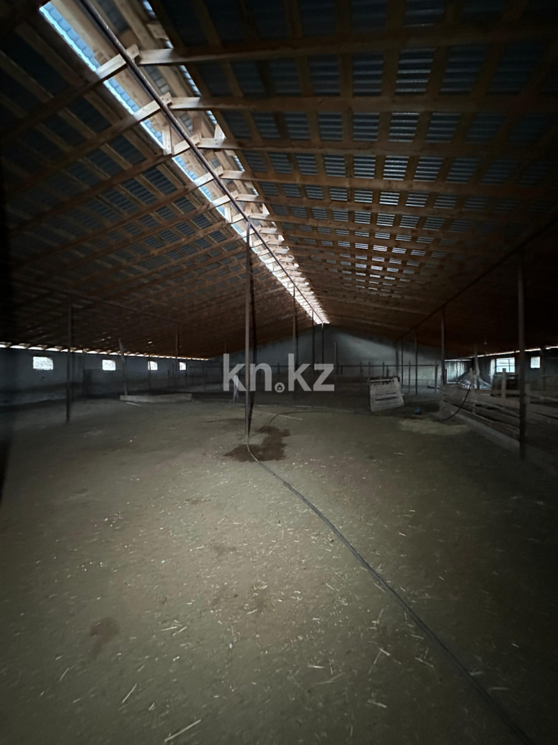 Продажа , 1200 м², мкр. Казыгурт, дом  032 в Шымкенте - фото 24