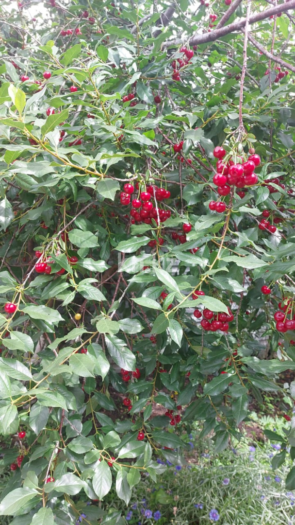 Продажа 4-комнатного дома, 56 м², ул. Жилстроевская, дом  47/2 в Караганде - фото 12