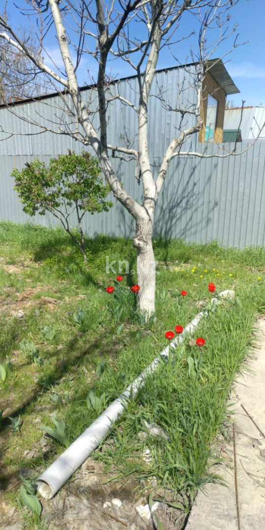 Продажа дачи, 8.3 сот., Кендала в Алматинской области - фото 18