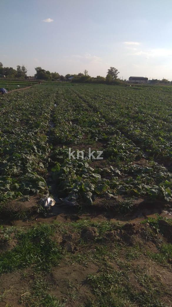 Продажа земельного участка, 23 сот., Жамбыла Жабаева в Акмолинской области - фото 2