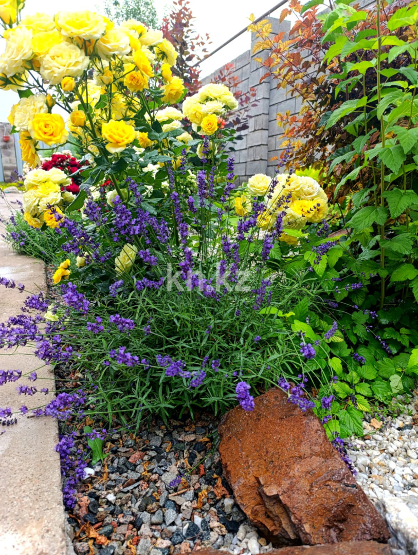 Продажа 4-комнатного дома, 128 м², Талапкер в Алматинской области - фото 11