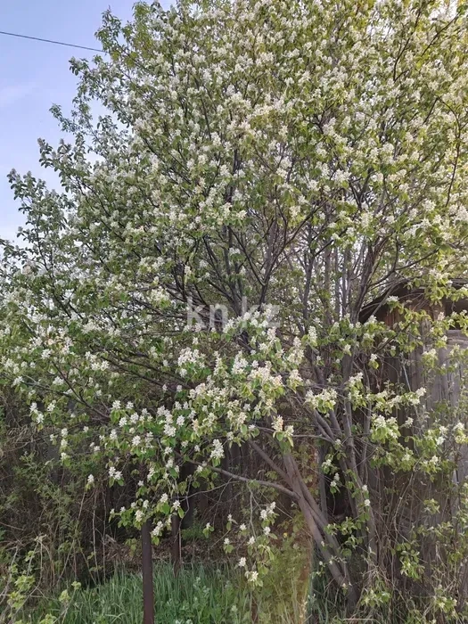 Продажа дачи, 9 сот. в Караганде - фото 13