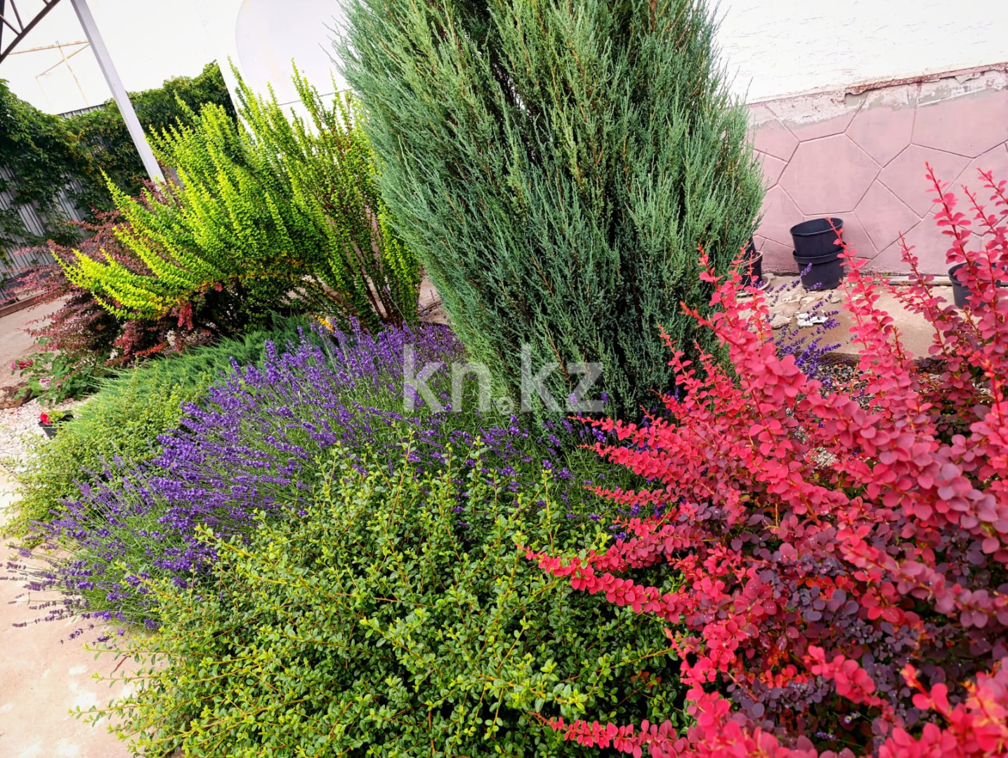 Продажа 4-комнатного дома, 128 м², Талапкер в Алматинской области - фото 8