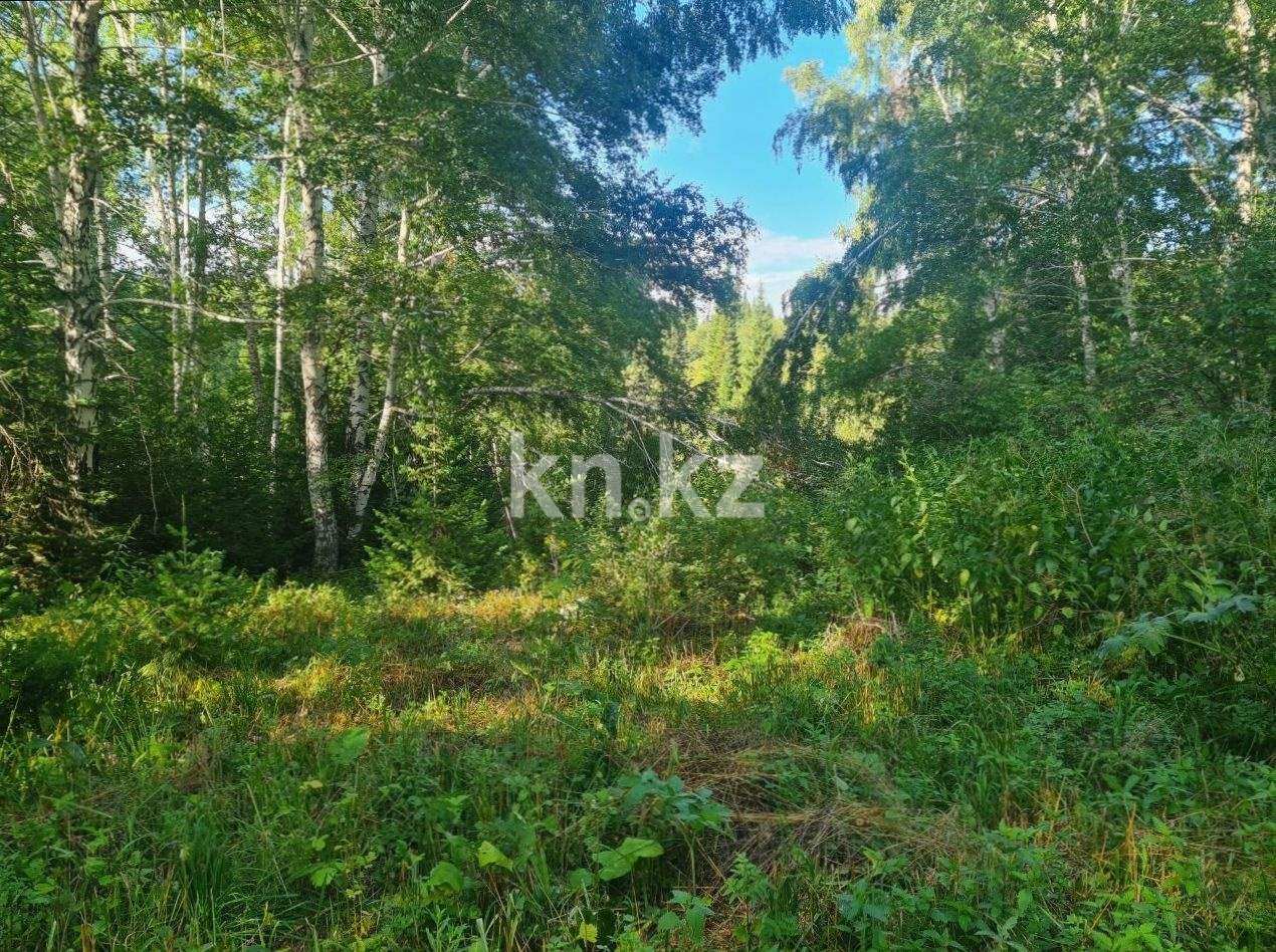 Продажа участка, 1000 м² в Усть-Каменогорске