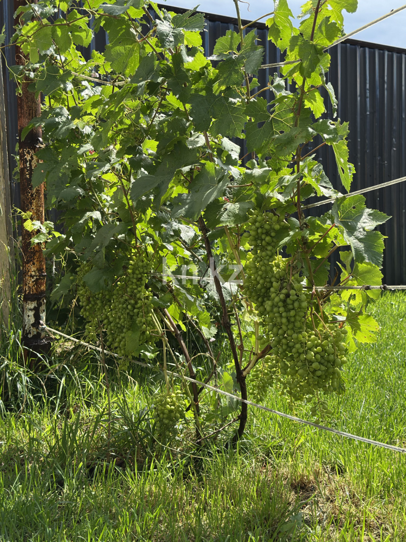 Продажа 5-комнатного дома, 136 м², E 575, дом  44 в Астане - фото 31