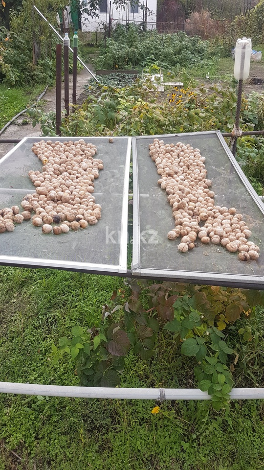 Продажа дачи, 6 сот. в Алматинской области - фото 7