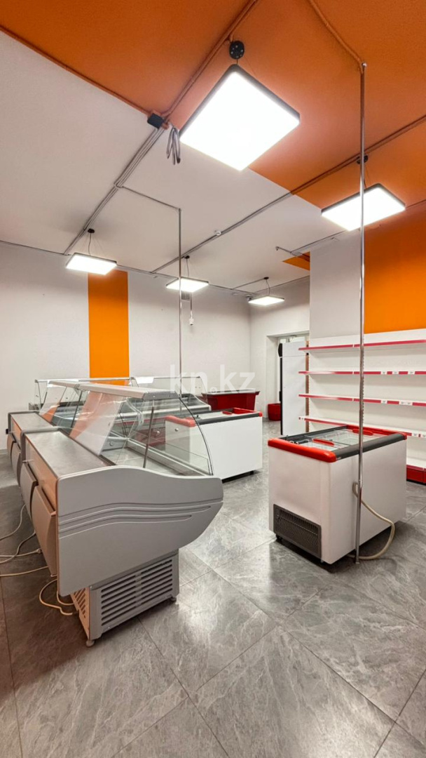 Аренда в Астане - фото 10