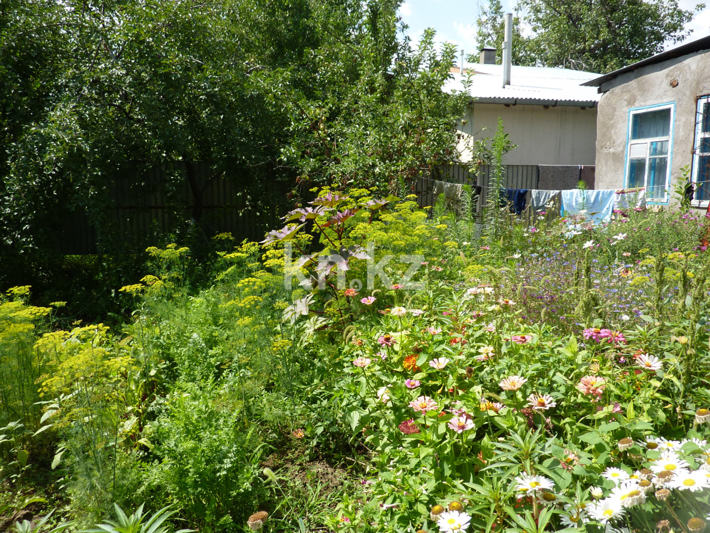 Продажа дачи, 8 сот. в Шымкенте - фото 6