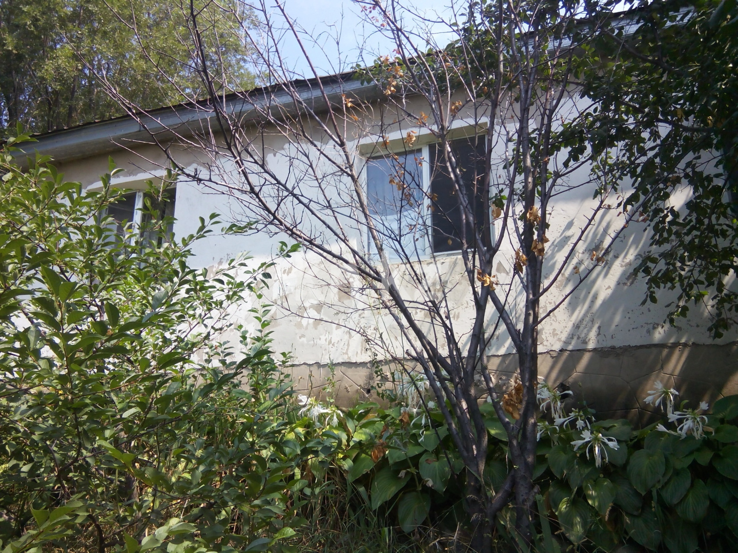 Продажа 5-комнатного дома, 71 м² в Алматинской области