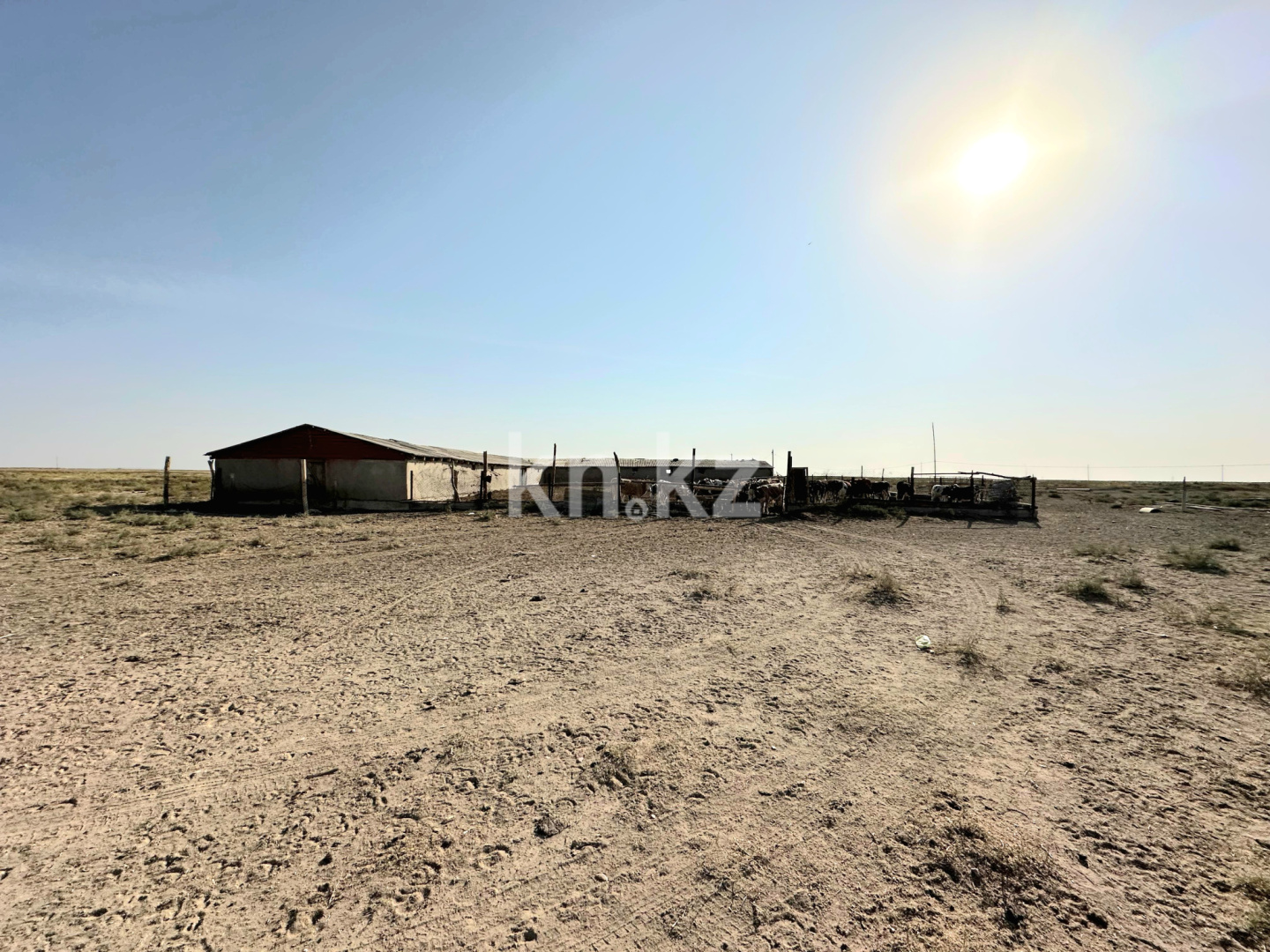 Продажа , 1200 м², ЖМ Алтынтобе, дом  1 в Шымкенте - фото 23