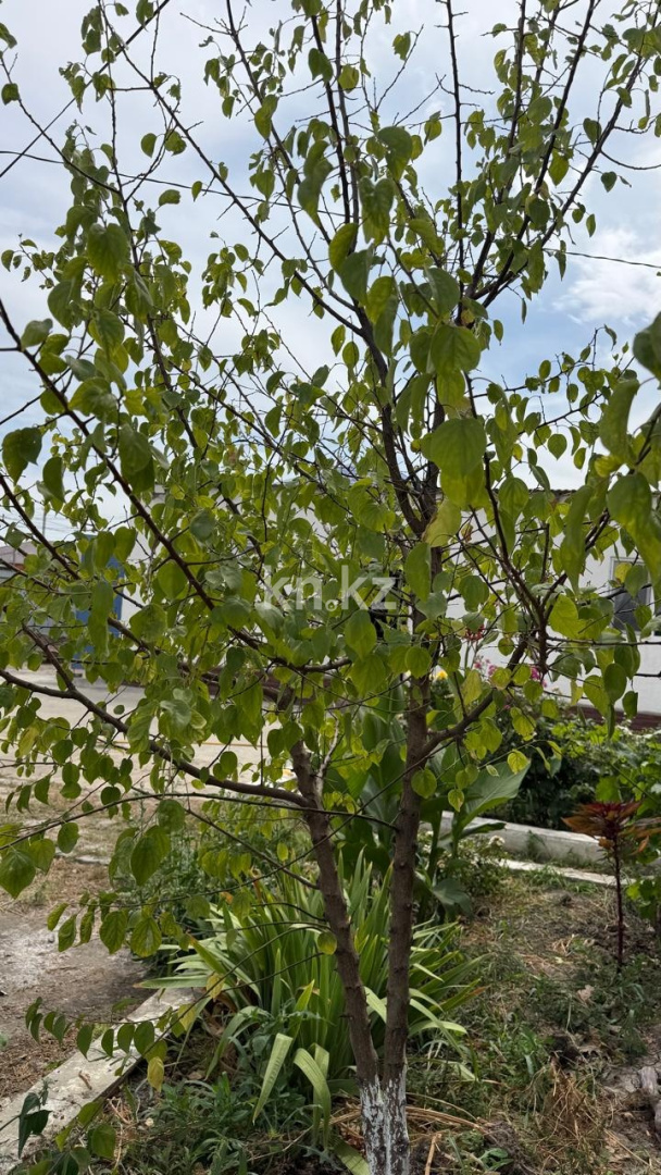 Продажа 4-комнатного дома, 150 м² в Атырау - фото 6