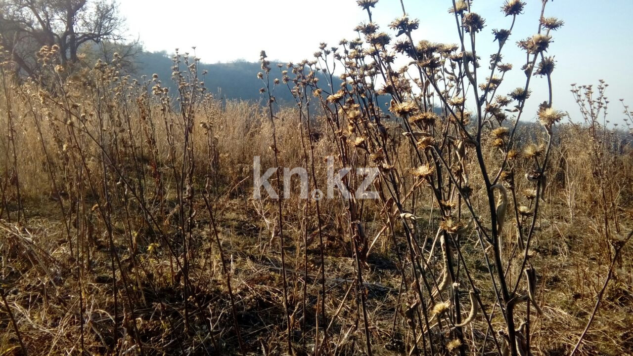 Продажа земельного участка, 1.5 га, МТФ №3 р-н в Алматинской области - фото 3