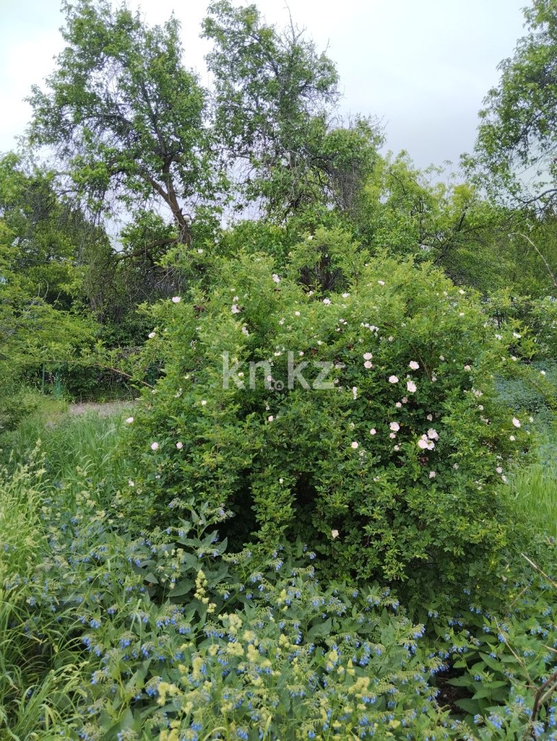 Продажа дачи, 11 сот., Юбилейный с. о. в Алматинской области - фото 22