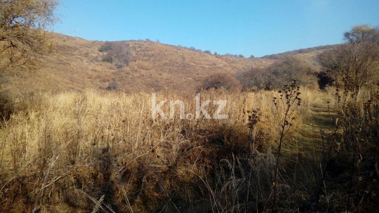 Продажа земельного участка, 1.5 га, МТФ №3 р-н в Алматинской области - фото 6