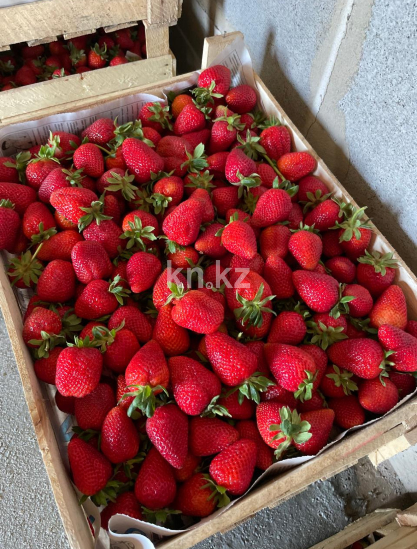 Продажа , 23500 м² в Алматы