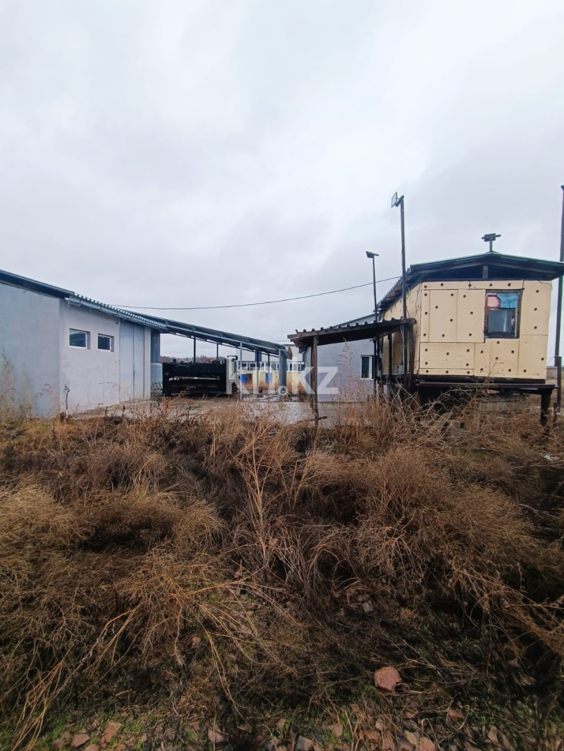 Продажа земельного участка, 2.8 га, Казцик в Алматинской области - фото 9