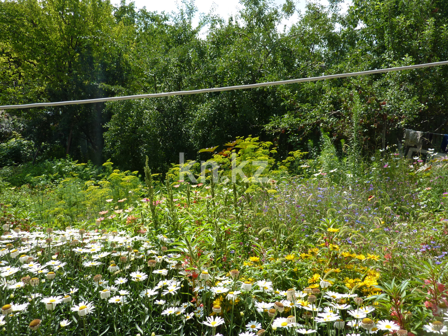 Продажа дачи, 8 сот. в Шымкенте - фото 9