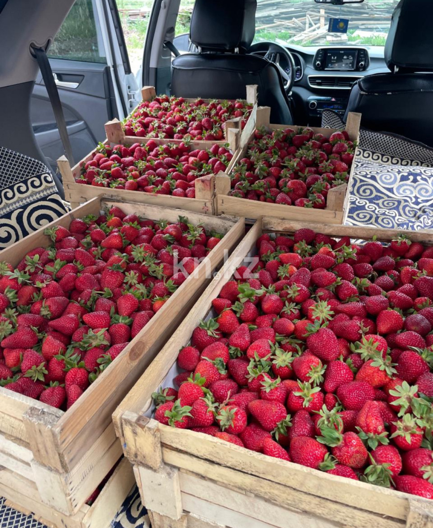 Продажа , 23500 м² в Алматы - фото 7