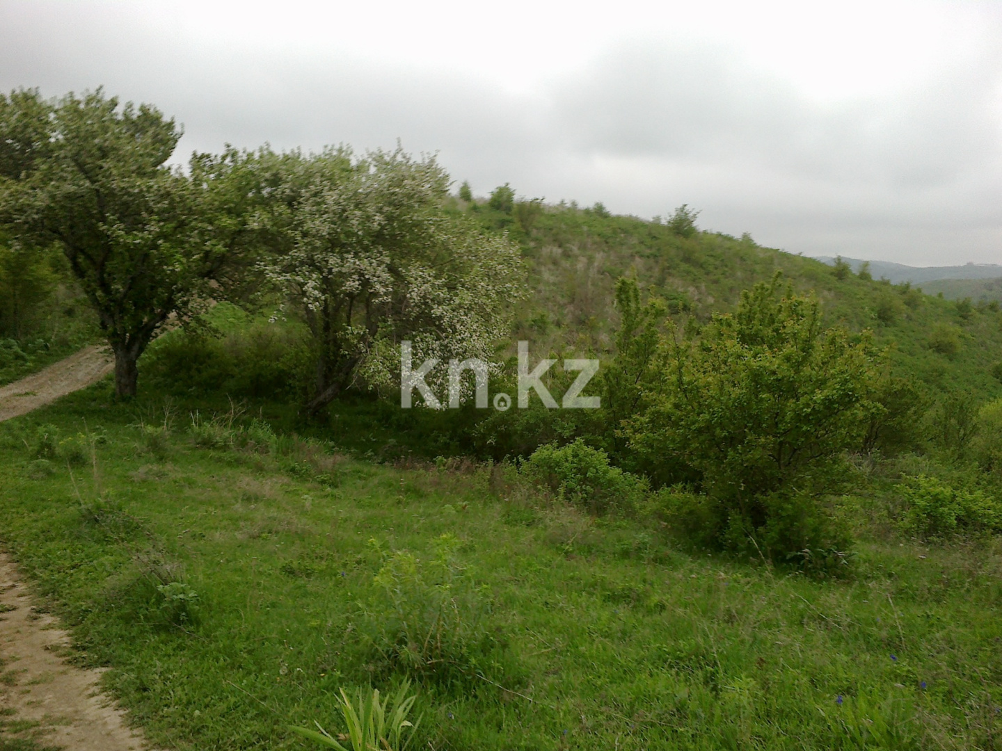 Продажа земельного участка, 28 га, ул. Восточная объездная (ВОАД) в Алматы - фото 6