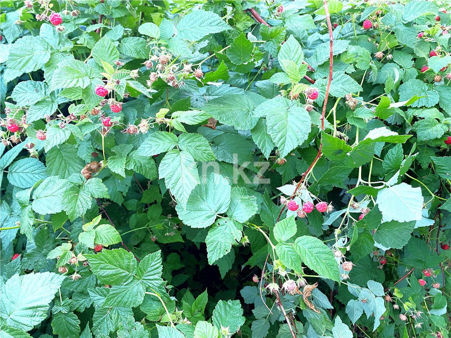 Продажа 7-комнатного дома, 160 м², ул. Черкасская, дом  58 в Караганде - фото 16