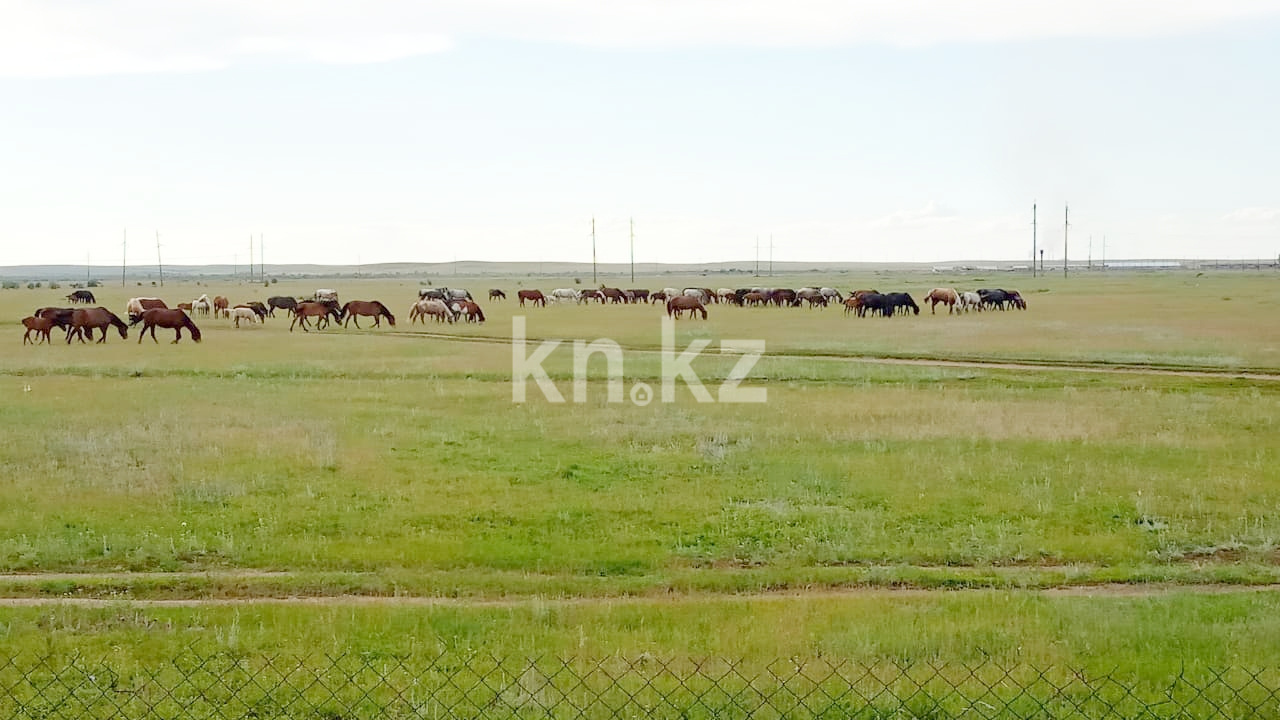 Продажа 2-комнатного дома, 52 м², 115 учётный квартал в Темиртау - фото 23