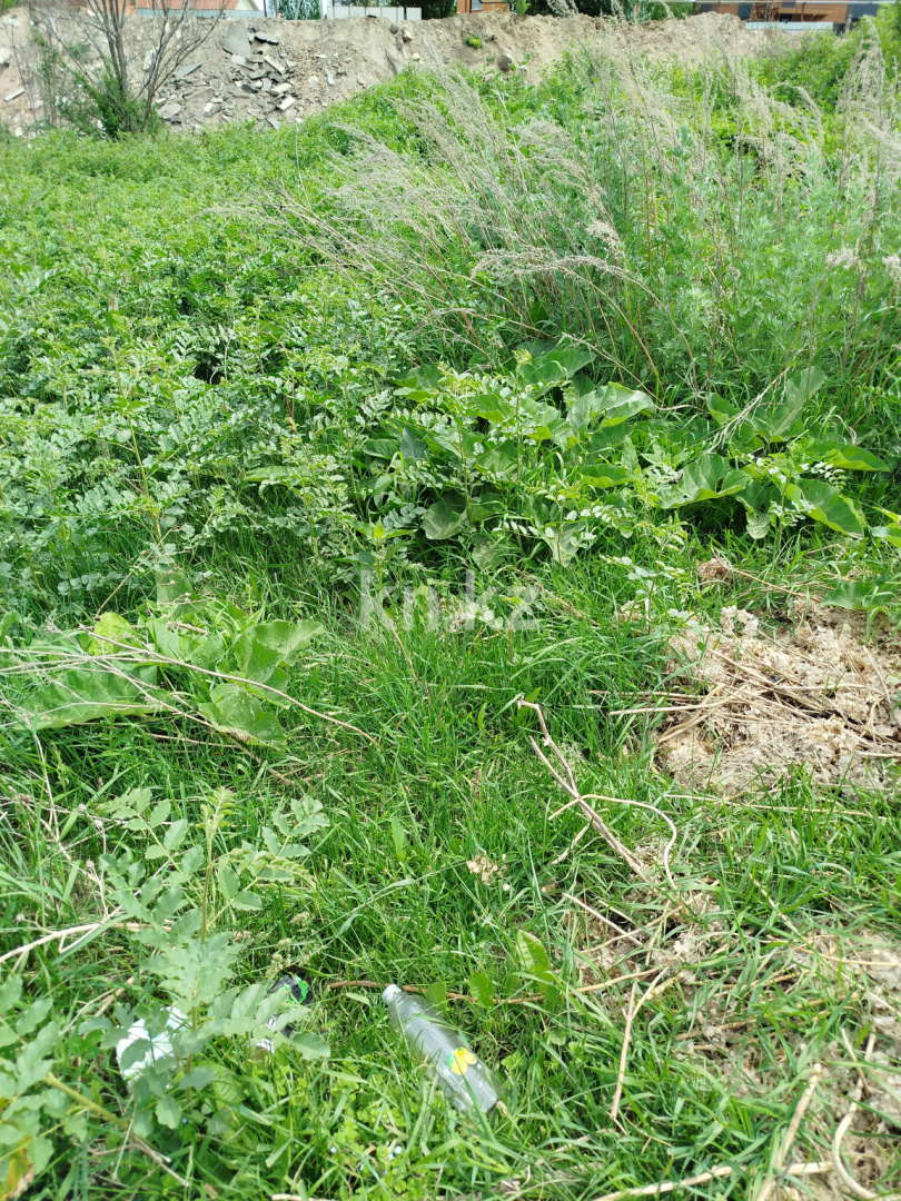 Продажа земельного участка, 10 сот., мкр. Карагайлы в Алматы - фото 6