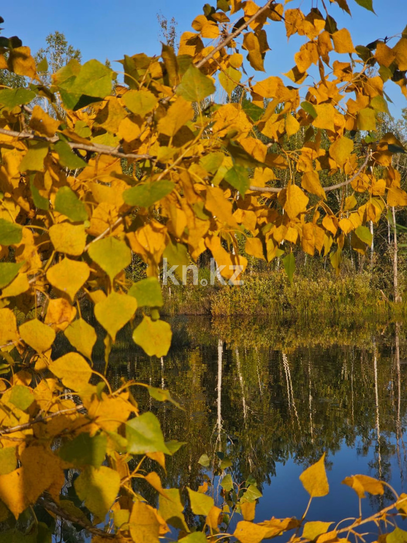 Продажа участка, 24.7 га в Усть-Каменогорске - фото 7