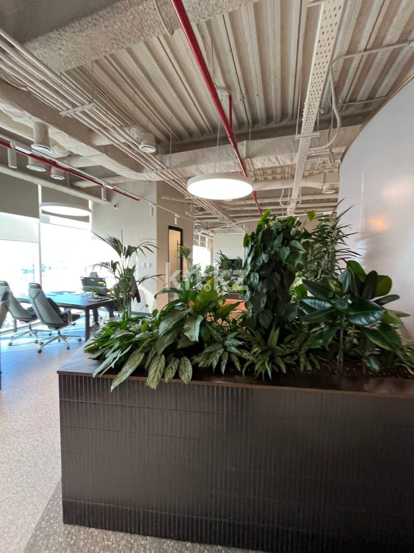 Аренда , ул. Сыганак, дом  60/4 - ул. Туркестан в Астане - фото 7